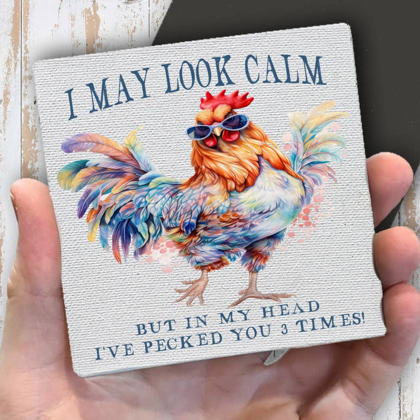 I May Look Calm Funny Saying Magnet Fridge