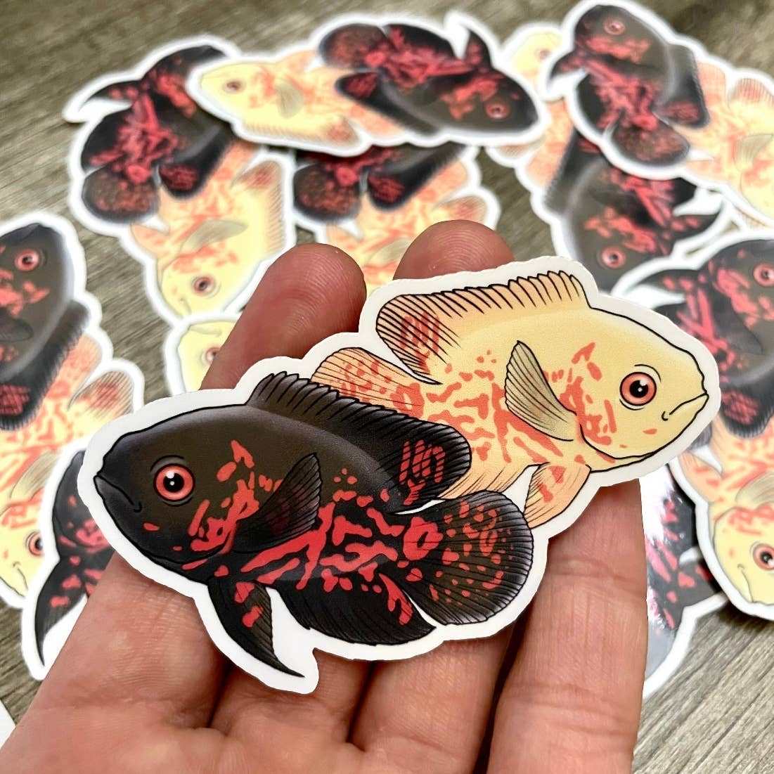 Oscar Cichlid aquarium Fish Aquatic Sticker Decal