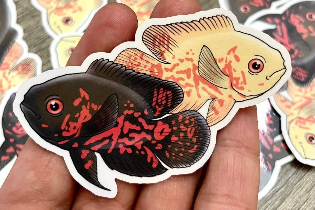 Oscar Cichlid aquarium Fish Aquatic Sticker
