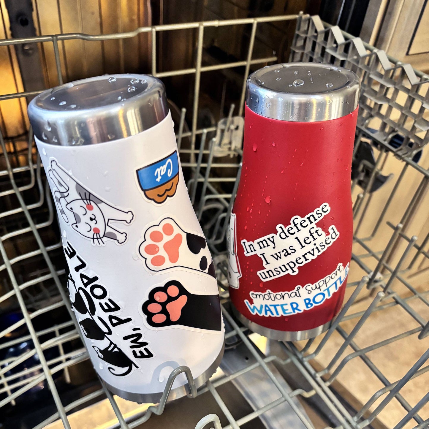 My Cat Tolerates Me Laptop Water Bottle Sticker