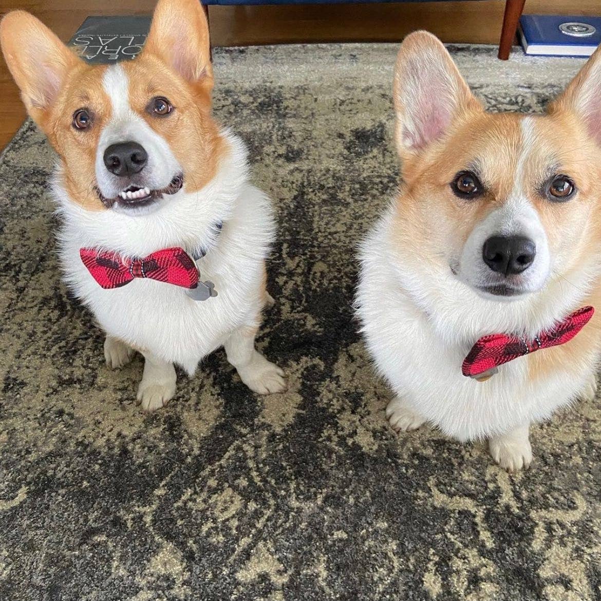 Checkered Plaid Bowtie Standard Size