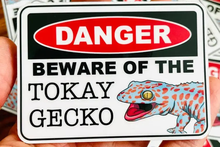 Danger Beware Of The Tokay Gecko Sticker