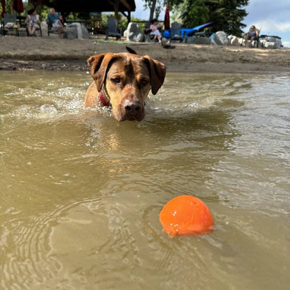 Floating Squeak Ball Chew Toy | USA Made