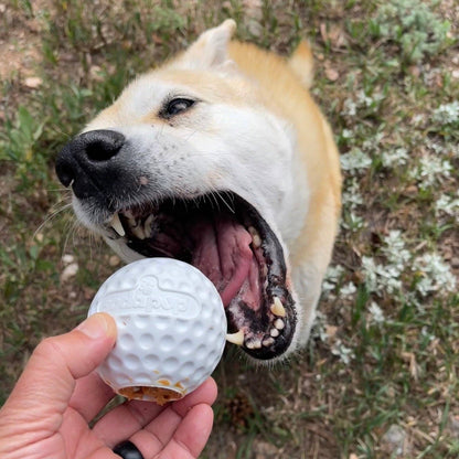 Golf Ball Rubber Dog Chew Toy for Power Chewers