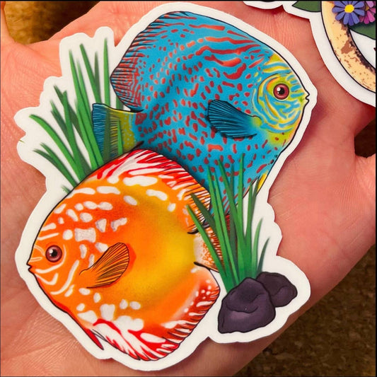 Discus Cichlid Fish Aquatic aquarium Sticker Decal