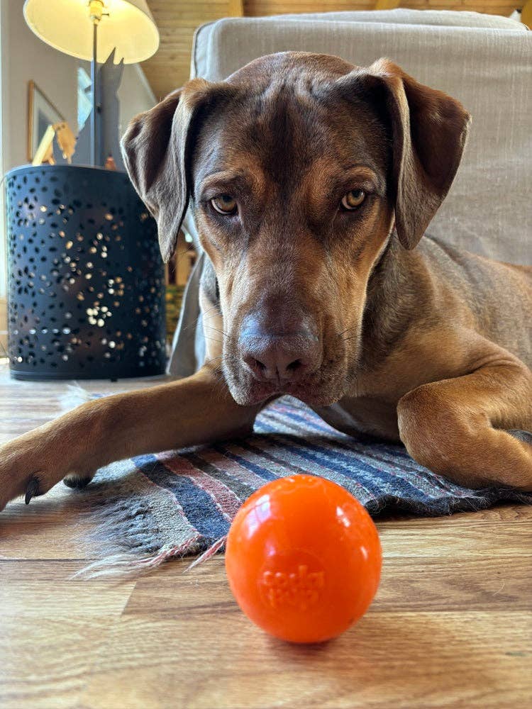 Floating Squeak Ball Chew Toy | USA Made