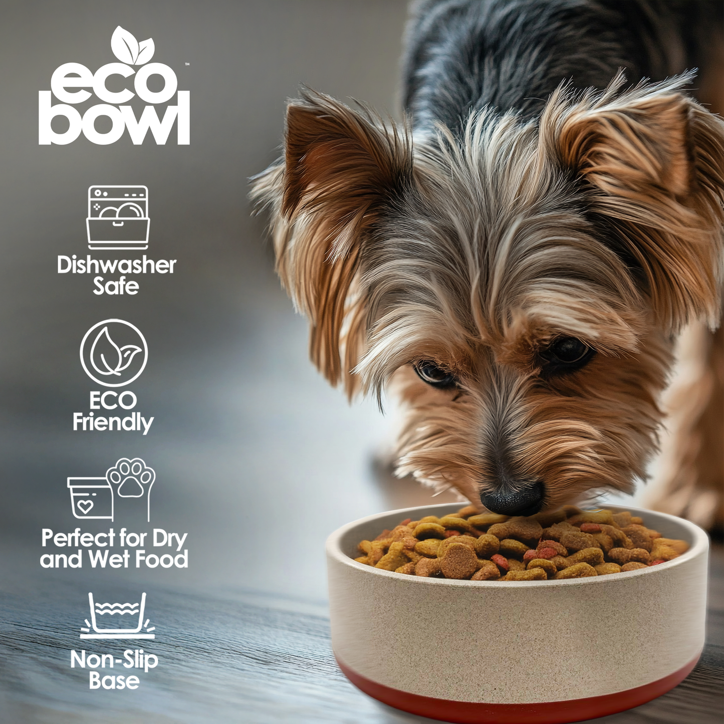Palz&Co Eco-Bowls With Lid