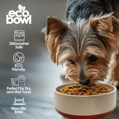 Palz&Co Eco-Bowls With Lid
