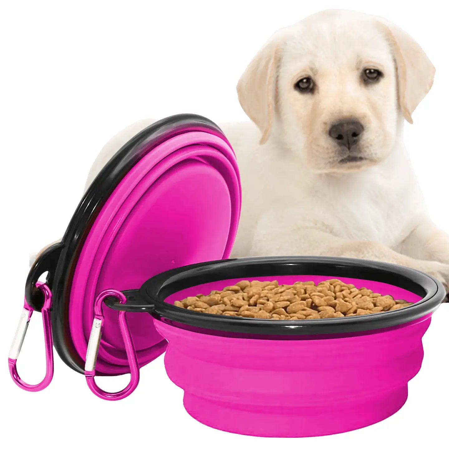 Collapsible Dog Bowls for Travel