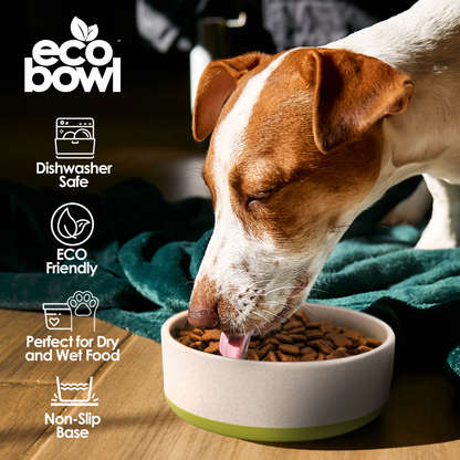 Palz&Co Eco-Bowls With Lid