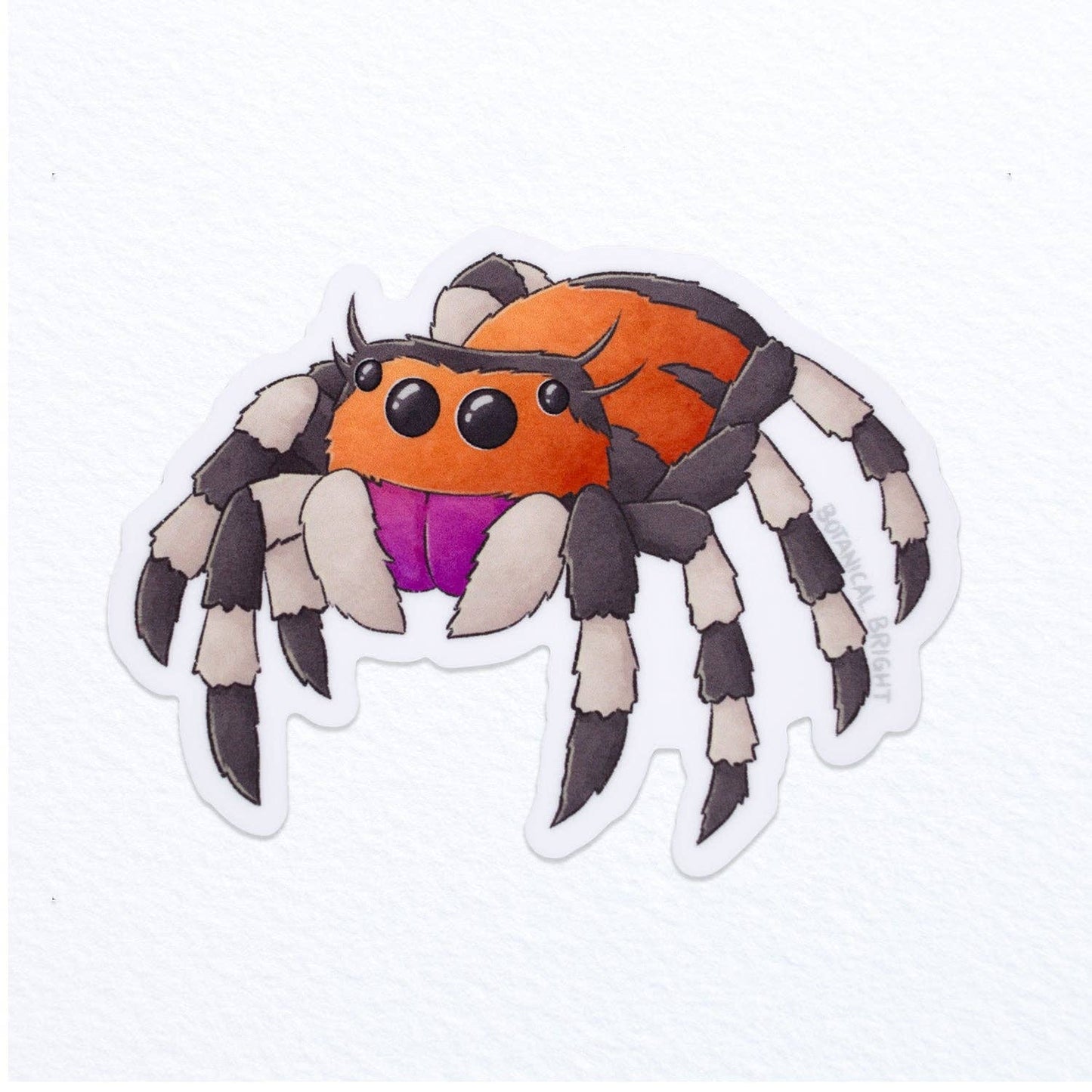 Spider Waterproof Vinyl Sticker