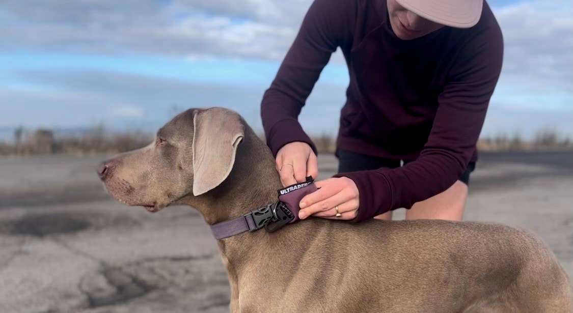 The Ultraderp Dog Leash