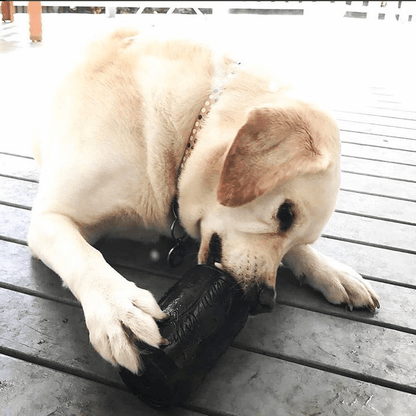 Magnum Can Toy Rubber Dog Chew Toy for Extreme Chewers