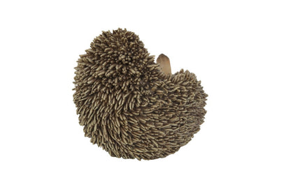 Hedgehog On Its Back