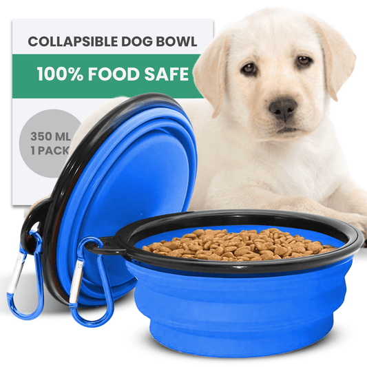 Collapsible Dog Bowls for Travel