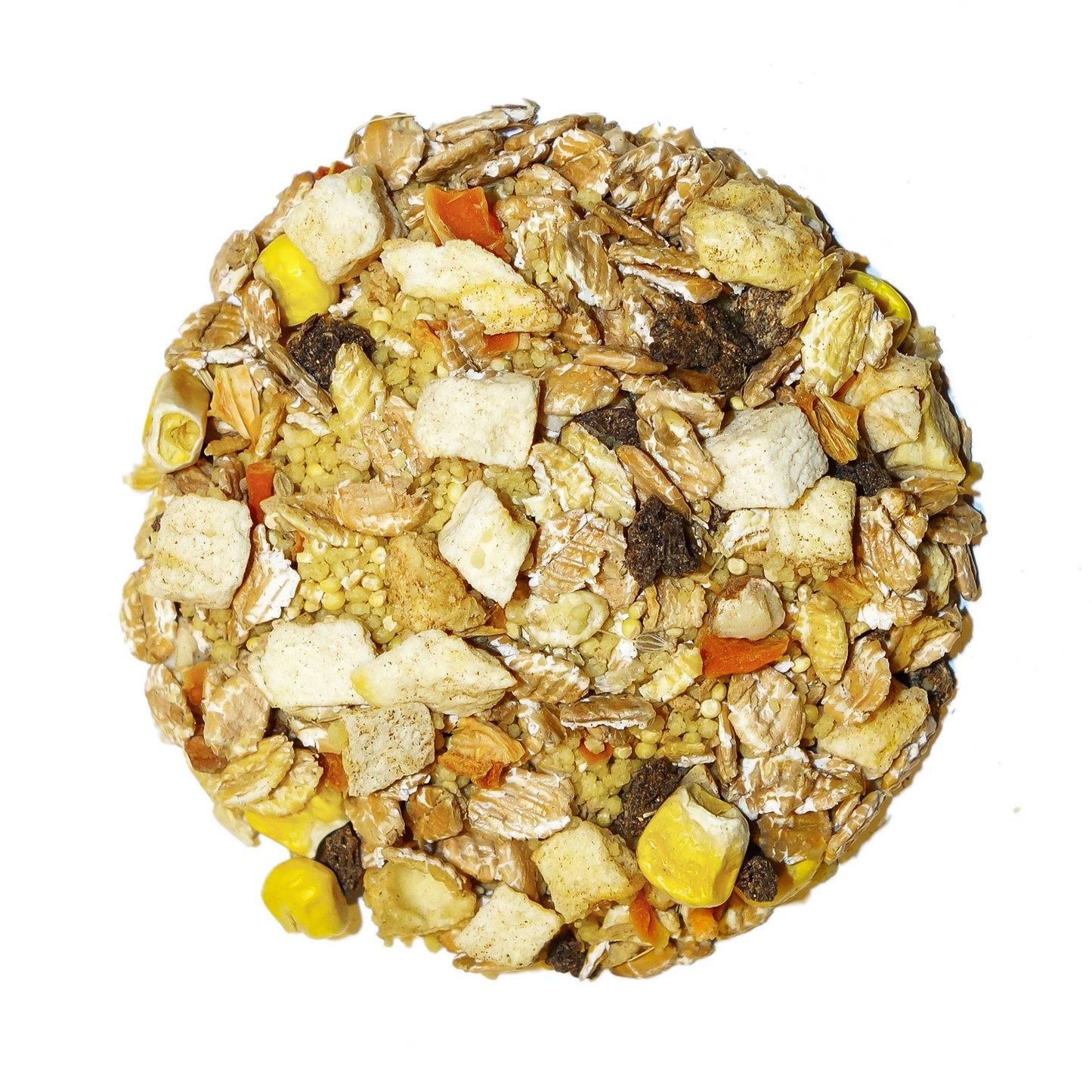 Tropical - Feast on the Fly