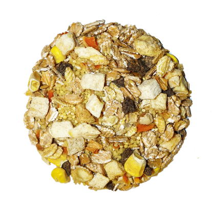 Tropical - Feast on the Fly