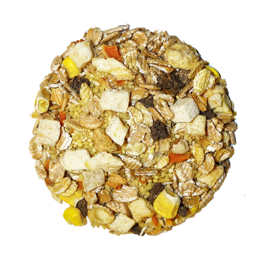 Tropical - Feast on the Fly