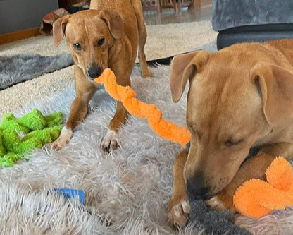 Duraplush Springy Thing Dog Toy