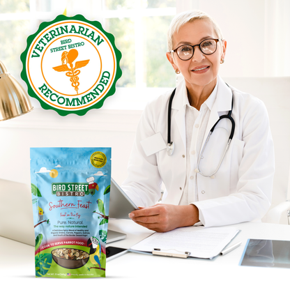 Southern Feast Bird Street Bistro