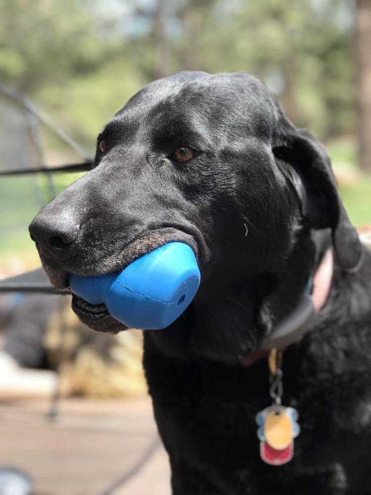 Double Trouble Dog Toy - Dual Chamber Treat Dispenser for Large Dogs | USA Made
