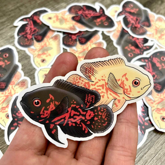 Oscar Cichlid aquarium Fish Aquatic Sticker Decal