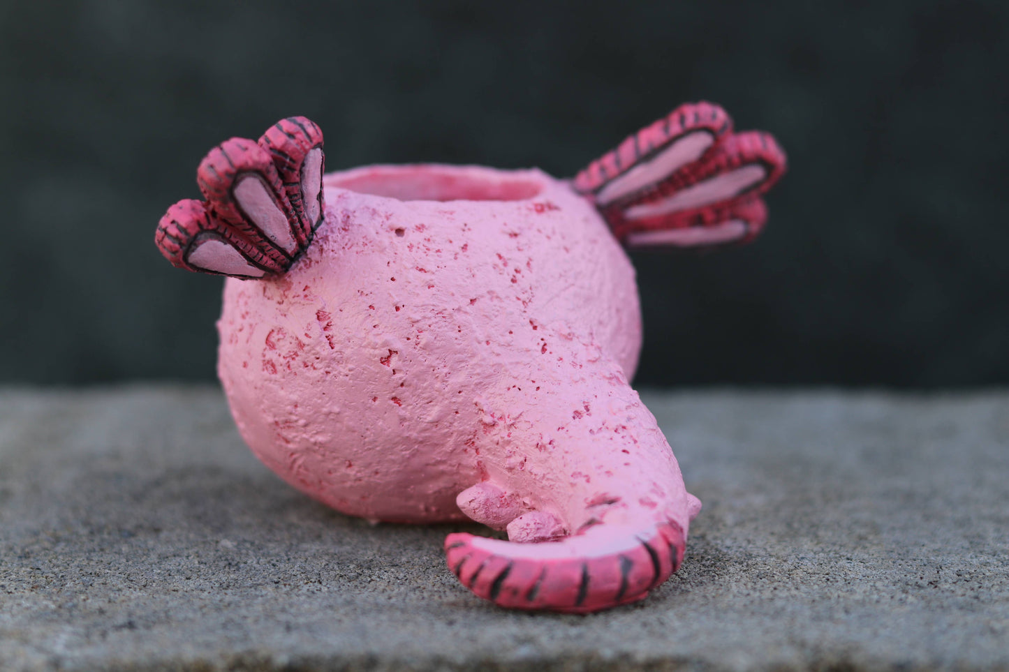 Alexander Axolotl Baby Salamander Blobhouse Planter