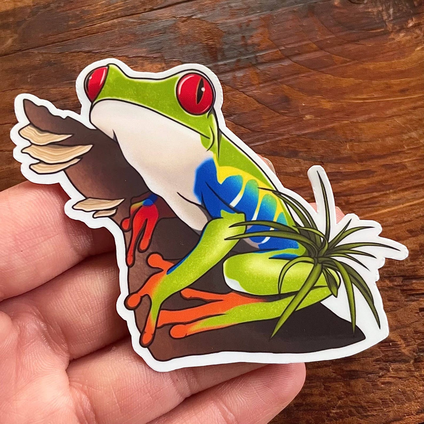 Red eye tree frog vinyl waterproof sticker