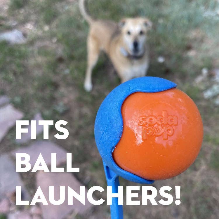 Floating Squeak Ball Chew Toy | USA Made