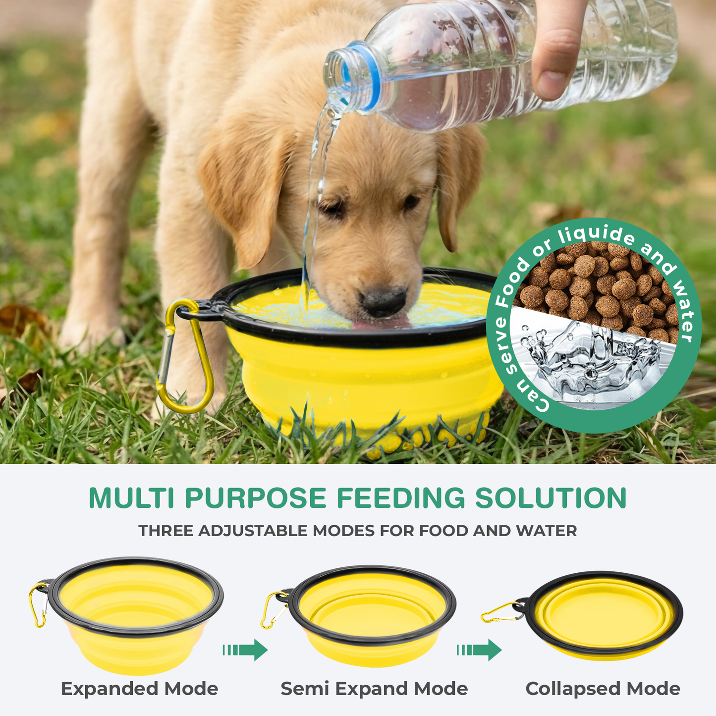 Collapsible Dog Bowls for Travel