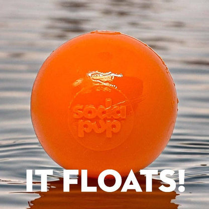 Floating Squeak Ball Chew Toy | USA Made