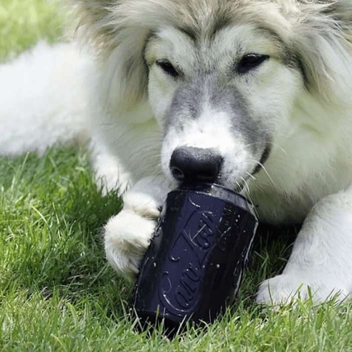 Magnum Can Toy Rubber Dog Chew Toy for Extreme Chewers