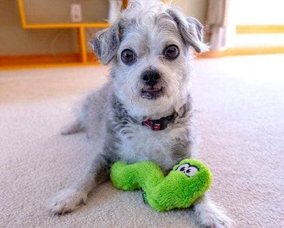 Duraplush Flower Puppy Pack