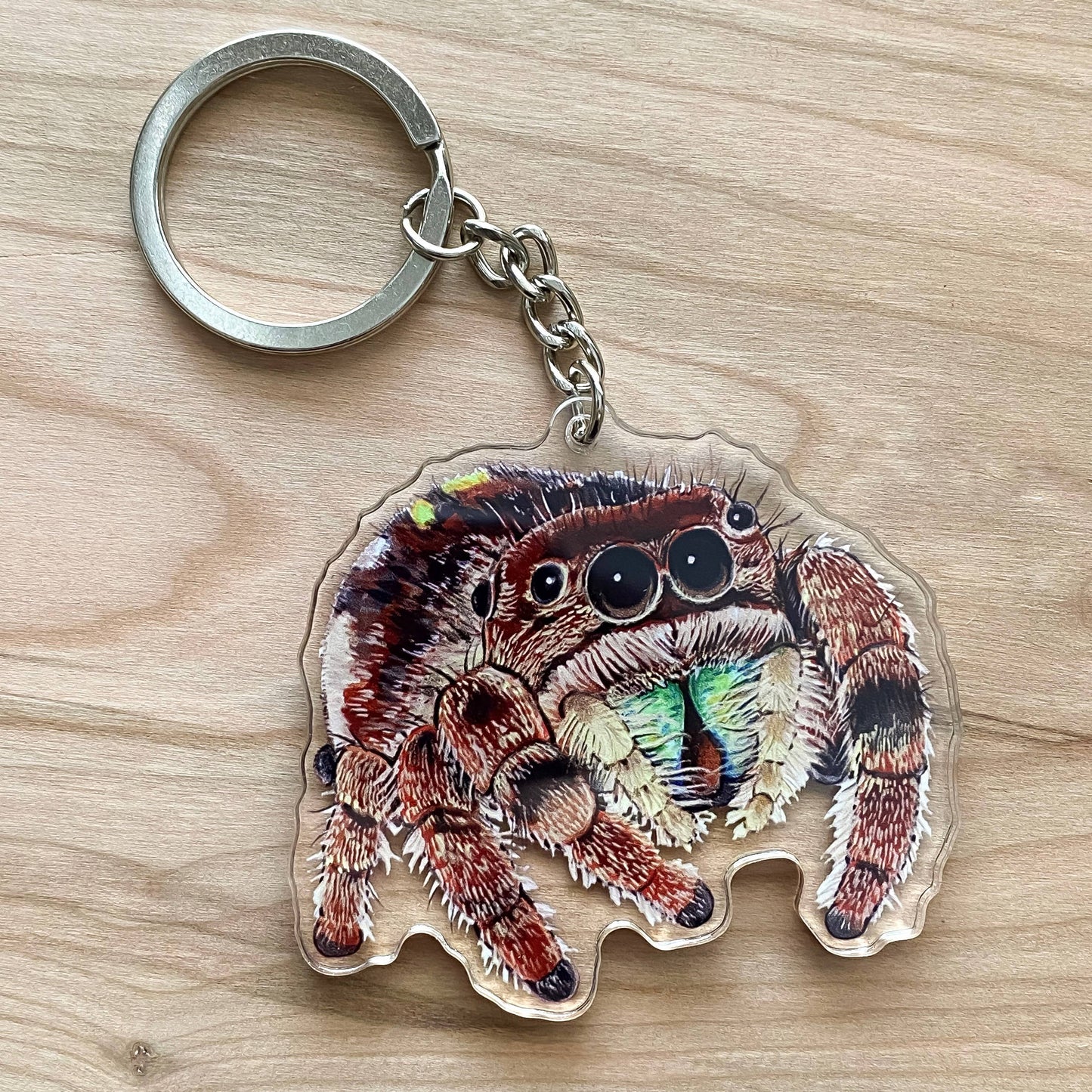 Jumping Spider Acrylic Keychain