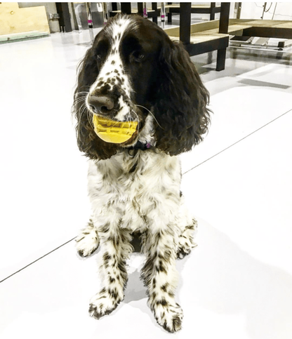 Industrial Dog Ball Rubber Chew Toy for Heavy Chewers