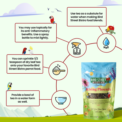 Rising Phoenix Parrot Tea