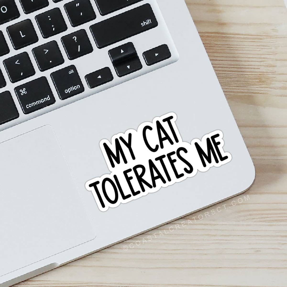My Cat Tolerates Me Laptop Water Bottle Sticker