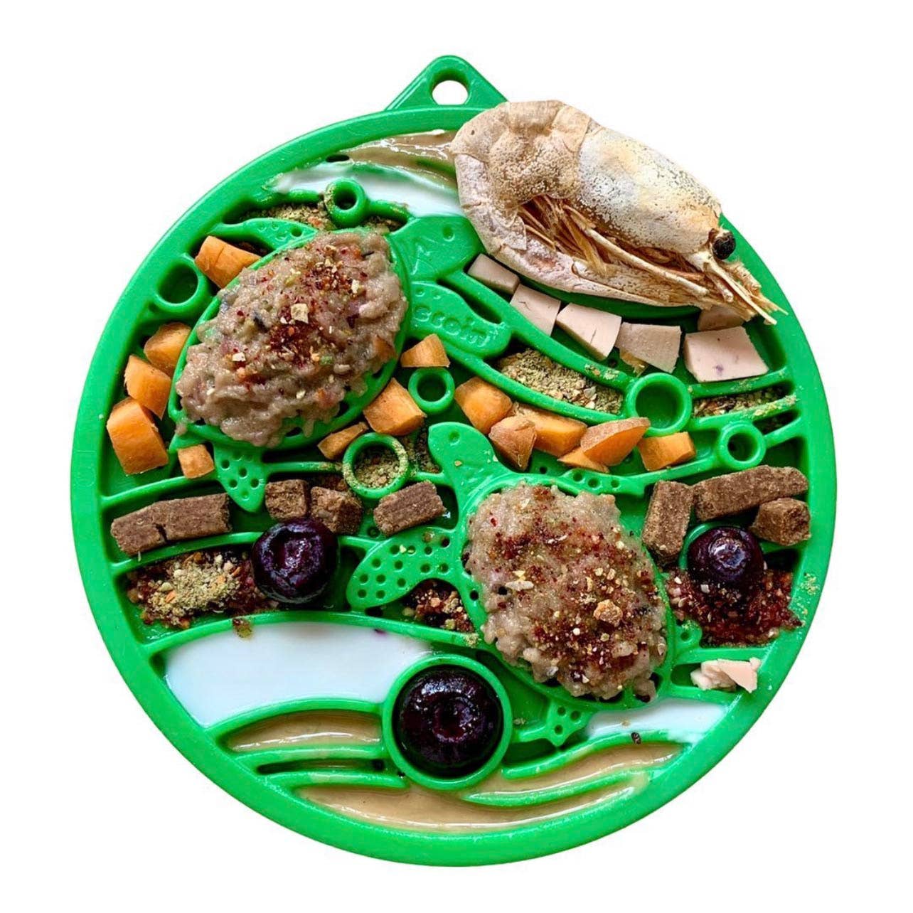 Water Nylon eCoin Durable Enrichment Snacking Tray for Dogs Lick Mat Alternative