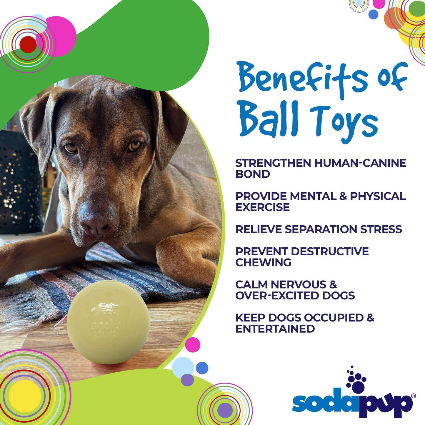 Floating Squeak Ball Chew Toy | USA Made
