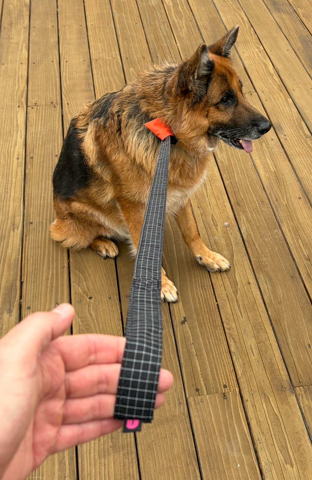 The Ultraderp Dog Leash