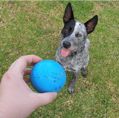 Wag Ball Rubber Dog Chew Toy for Heavy Chewers