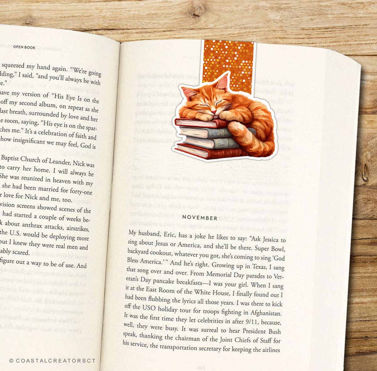Orange Cat Sleeping on Books Reversible Magnetic Bookmark