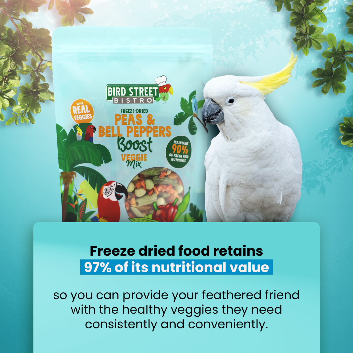 Peas & Bell Peppers Boost - Parrot Veggies Mix