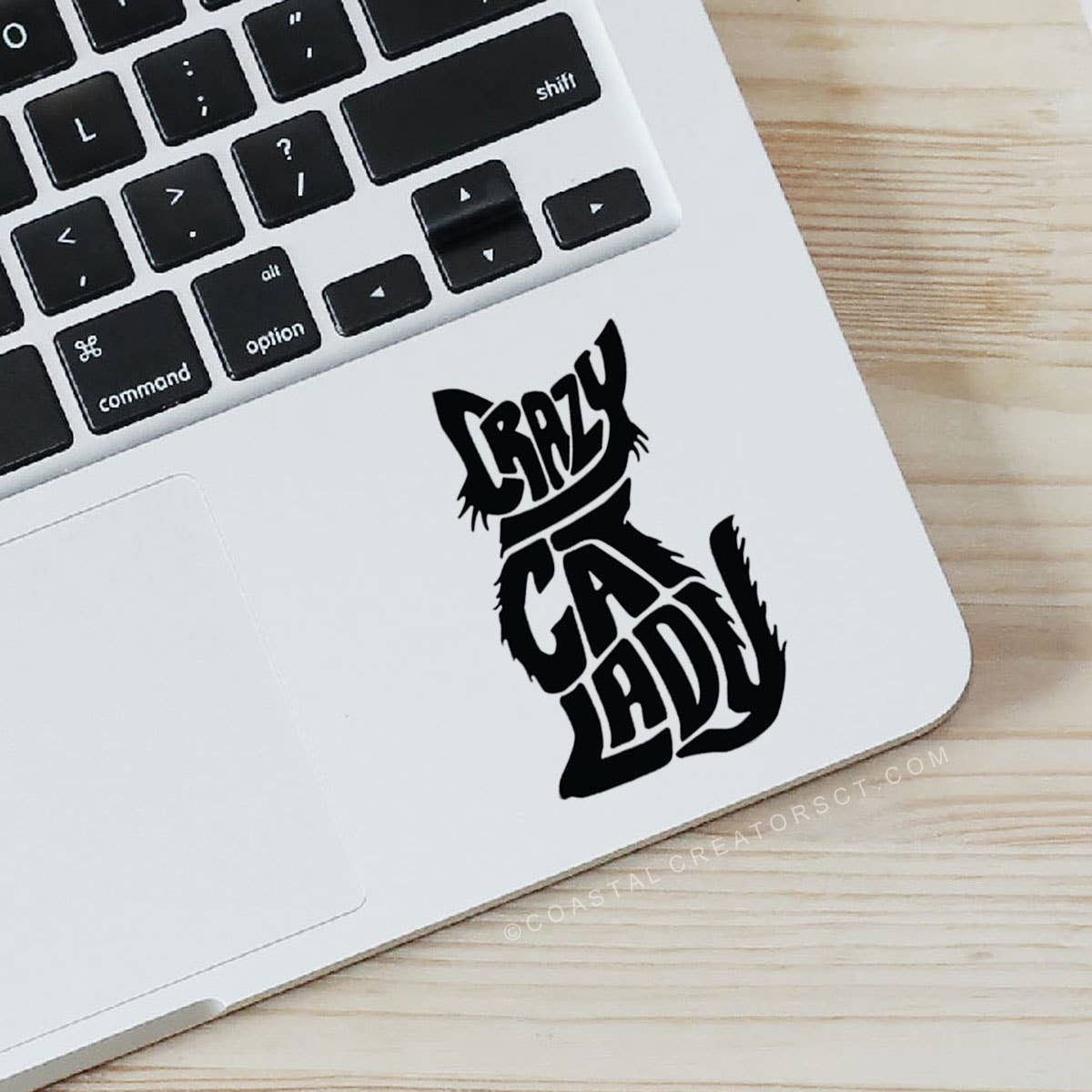 Crazy Cat Lady Vinyl Laptop/Water Bottle Sticker (Black)