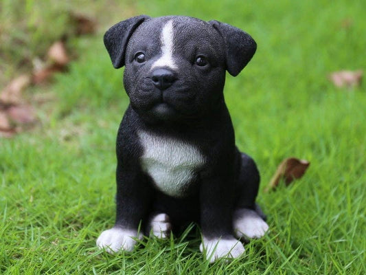 Staffordshire Pitbull Puppy Statue