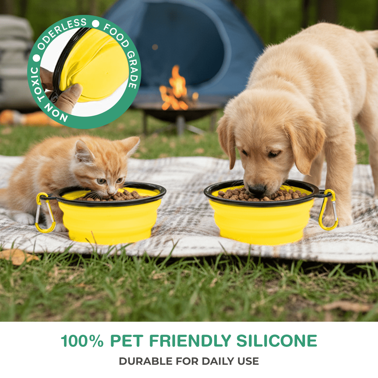 Collapsible Dog Bowls for Travel