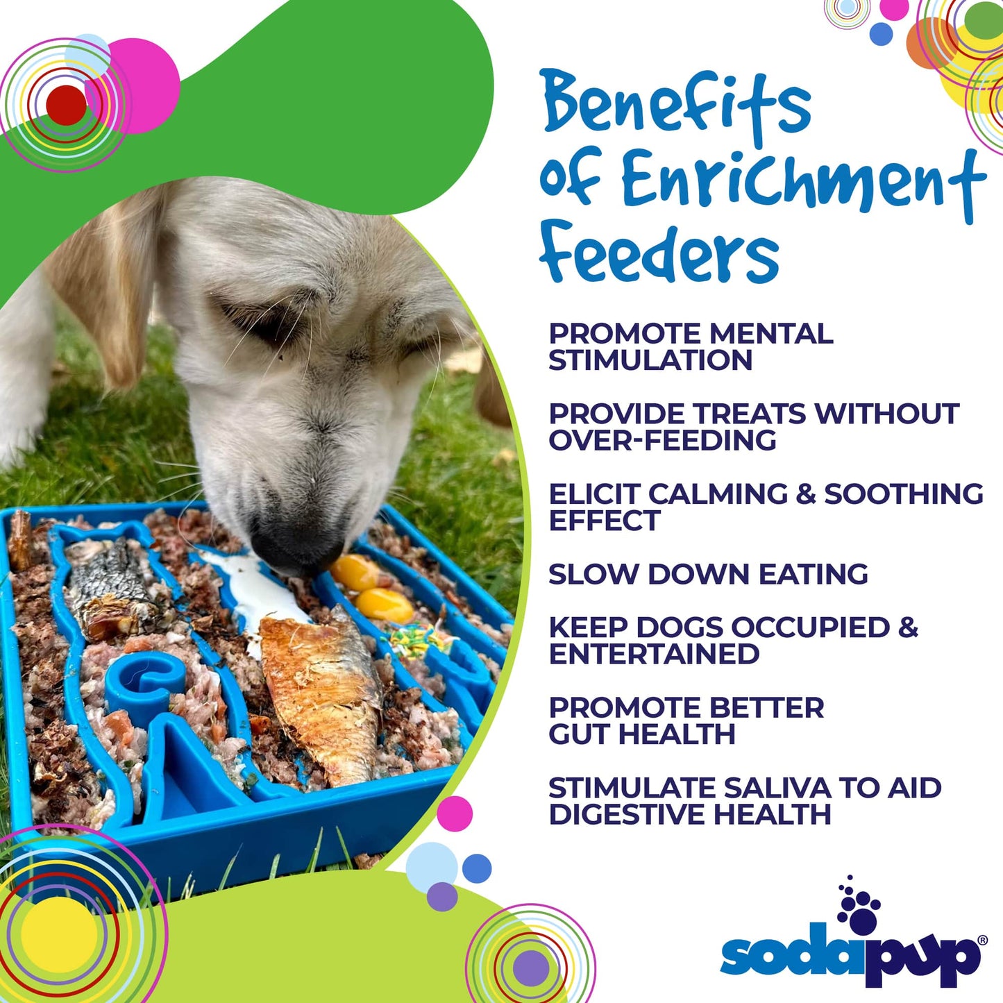 Slow Feeder Bowl for Enrichment | USA Made