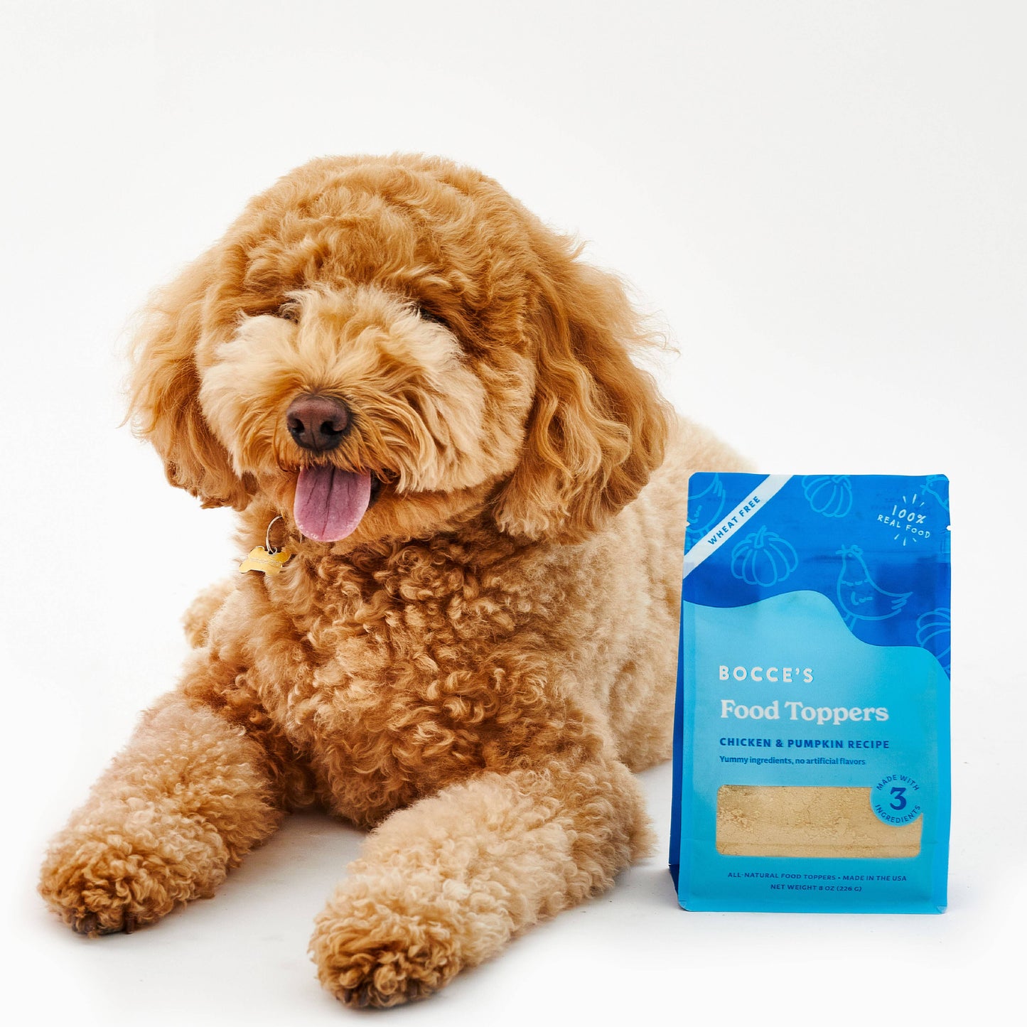 Bocce's Bakery Chicken & Pumpkin Food Topper 8oz