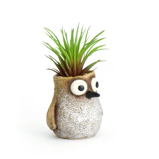 Baby Sandpiper Bird, Speck, Mini Blobhouse Planter