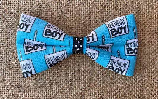 Birthday Boy Bowtie Standard Size